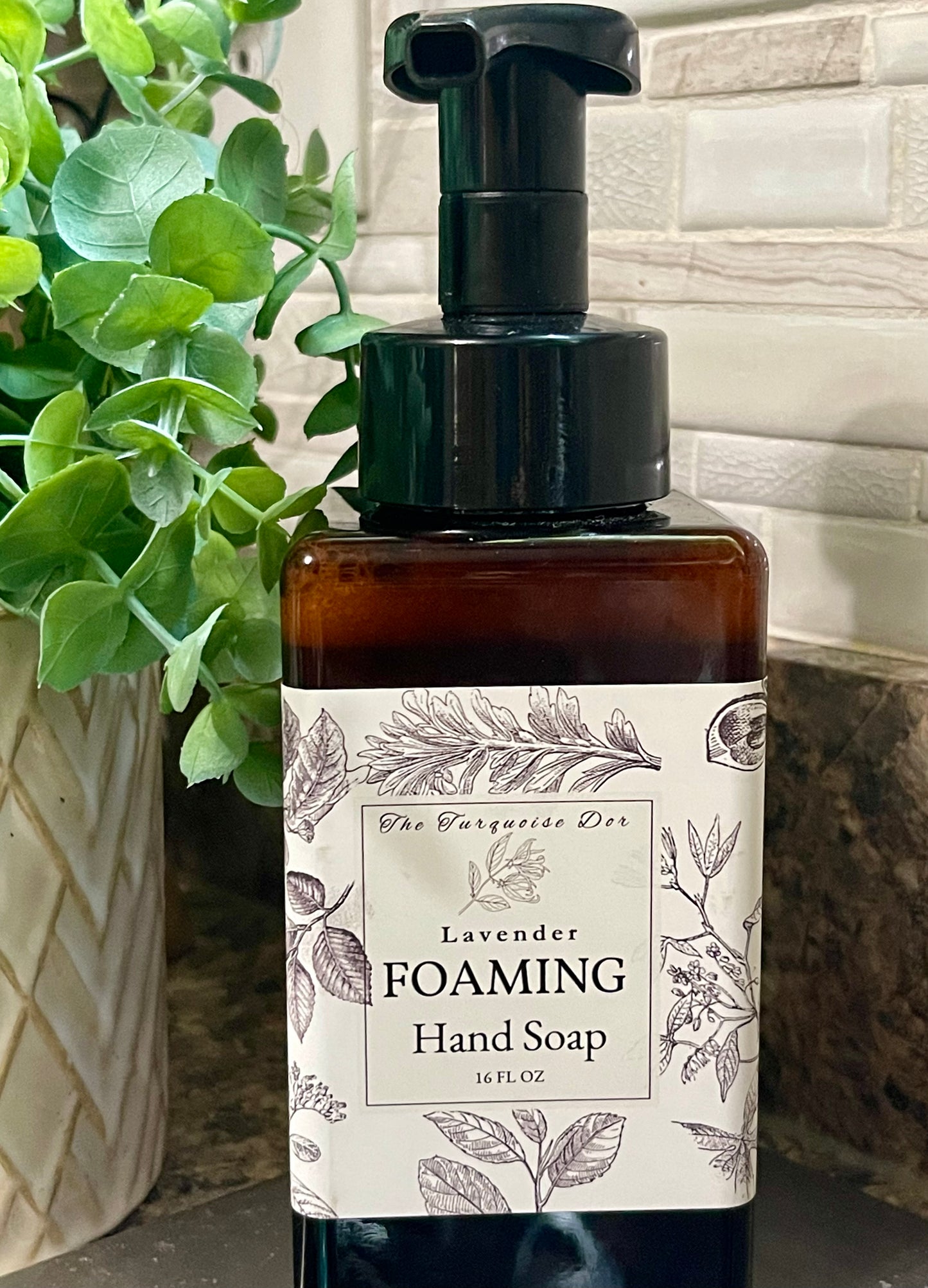 π»ππ‘ππππππ π΅ππππππ π·πππππππ